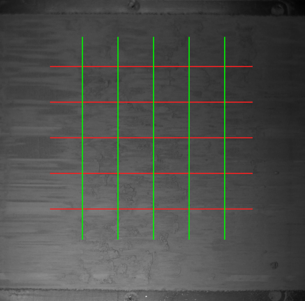 horizontal and vertical lines from which pixel intensity profiles are extracted